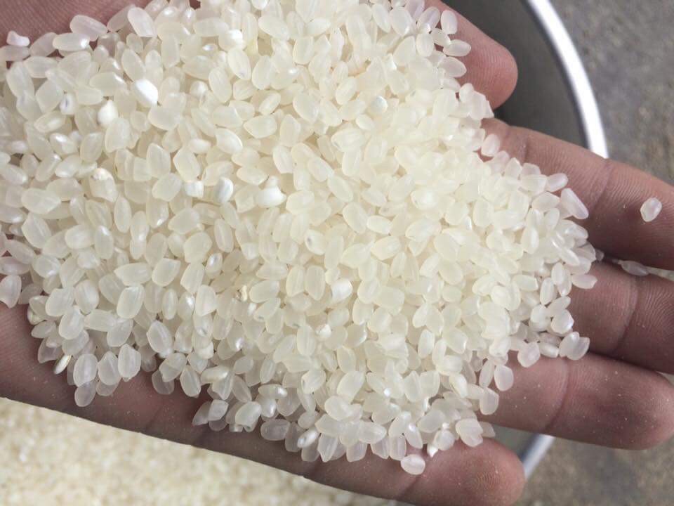 Rice to Ethiopia