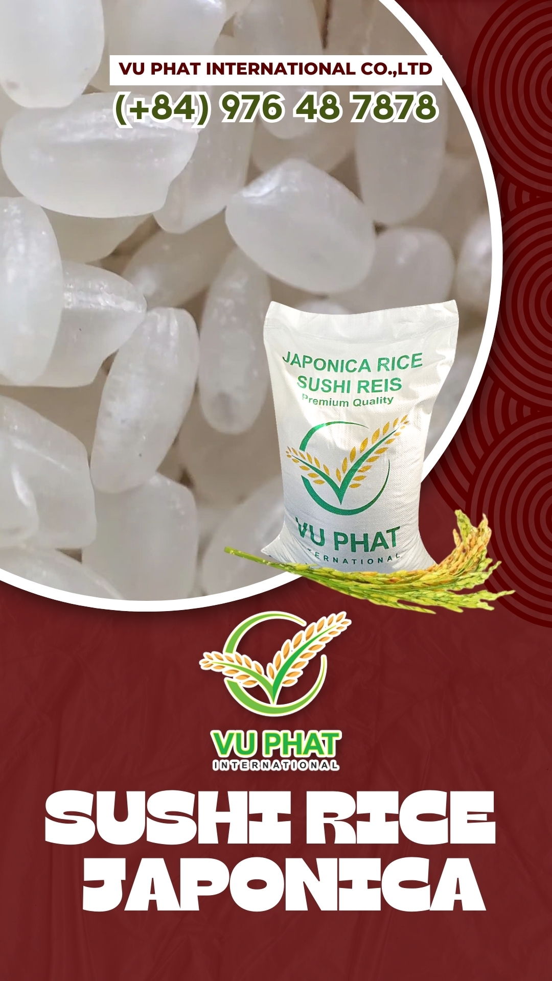 #Japonicarice #VietnamRoundGrainRice #VuPhatInternational Co.,LTD # Vietnamriceexporter #reel #reelsfbシ #reelsfacebook #reelsfypシ #reelsviral #reelsfb #reelsviralシ #reelsvideoシ1